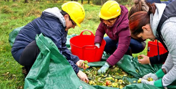 Volunteering at Hilltop Farm